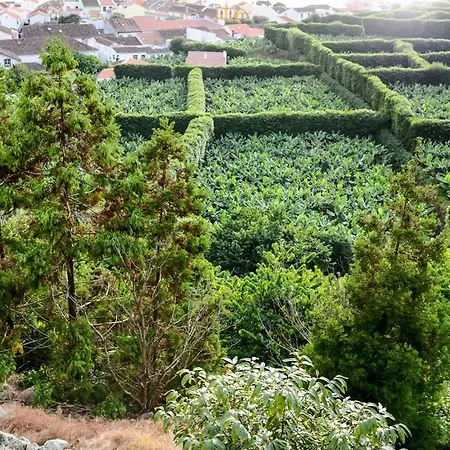 Quinta Amaro Al * Angra do Heroísmo