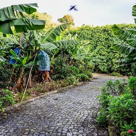 Quinta Amaro Al Angra do Heroísmo