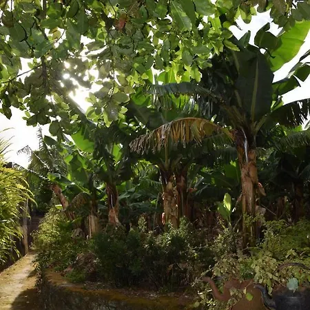 Quinta Amaro Al Angra do Heroísmo