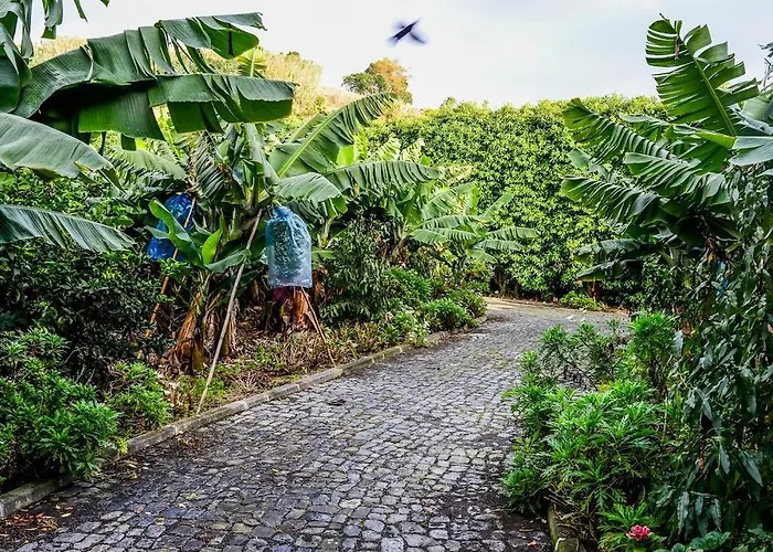 Quinta Amaro Al Angra do Heroísmo