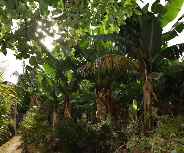 Quinta Amaro Al Angra do Heroísmo