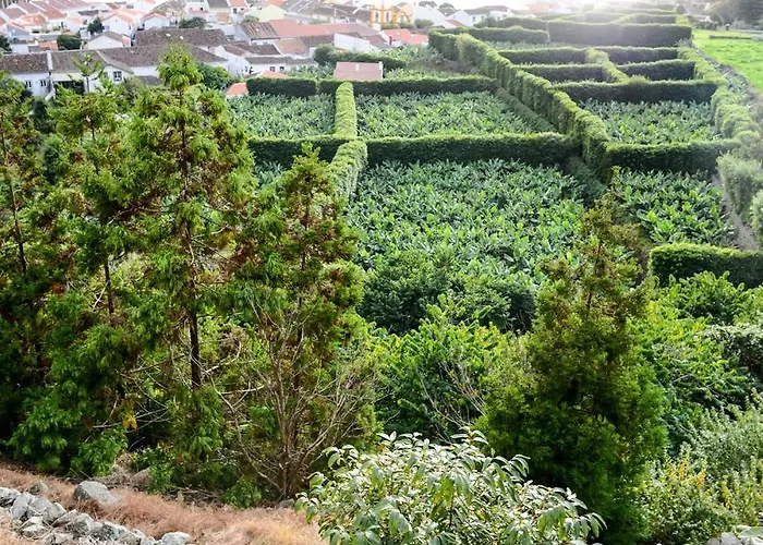 Quinta Amaro Al 3* Angra do Heroísmo